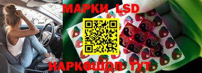 ПСИЛОЦИБИНОВЫЕ ГРИБЫ Можайск