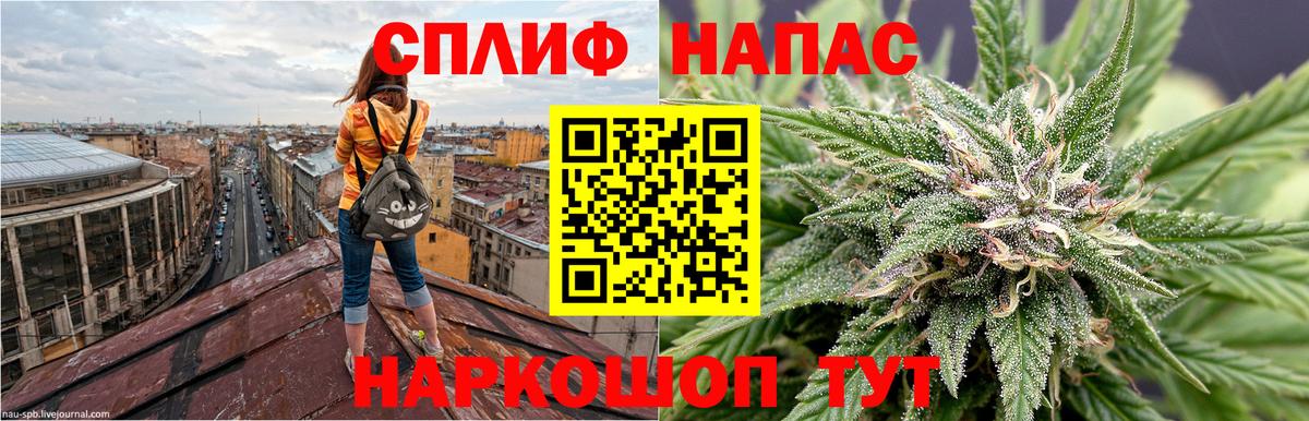 МАРИХУАНА White Widow Хасавюрт